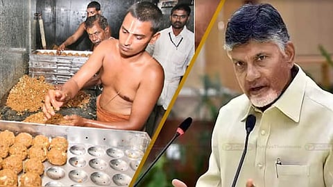 திருப்பதி லட்டு பிரசாதத்தில் விலங்கு கொழுப்பா?