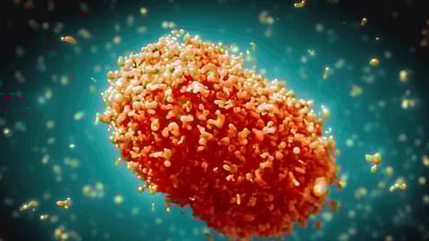 எம்.பாக்ஸ் வைரஸ்