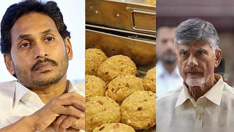 திருப்பதி லட்டு விவகாரம்