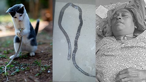 இறந்தவர்