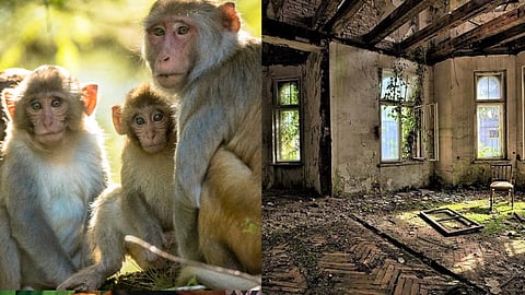 உத்தரப்பிரதேசம்