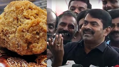 திருப்பதி லட்டு, நாதக ஒருங்கிணைப்பாளர் சீமான்