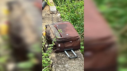 சூட்கேஸில் இருந்து மீட்கப்பட்ட பெண்ணின் சடலம்