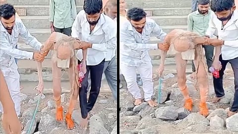 video image