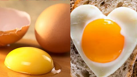 உலக முட்டைகள் தினம்