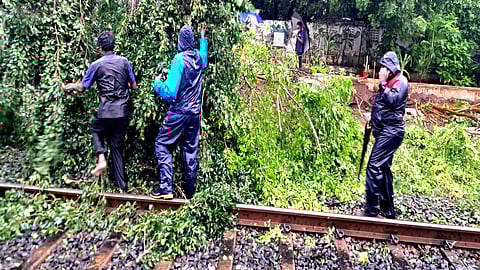 தண்டவாளத்தில் முறிந்து விழுந்த மரக்கிளை