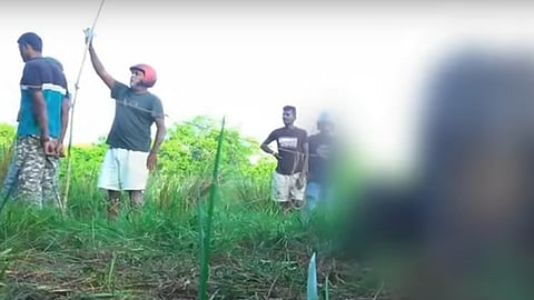 யானைகள் உயிரிழப்பு