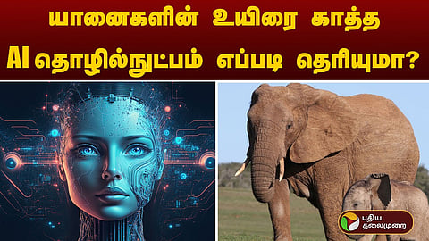 யானை