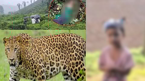 வால்பாறை