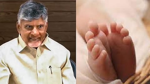 சந்திரபாபு நாயுடு