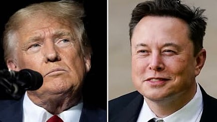 டொனால்டு ட்ரம்ப், எலான் மஸ்க்