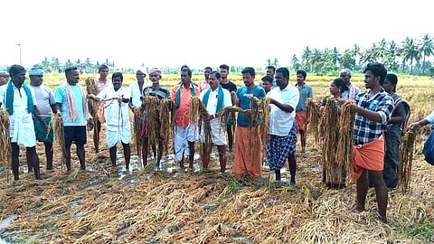 விளைநிலத்தில் இறங்கி போராடிய விவசாயிகள்