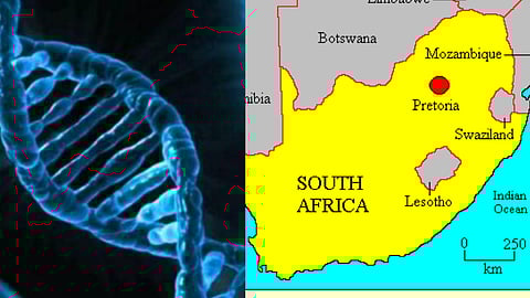 மரபணு திருத்த தொழில்நுட்பம்