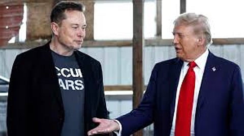 elon musk to reduce trump department doge role