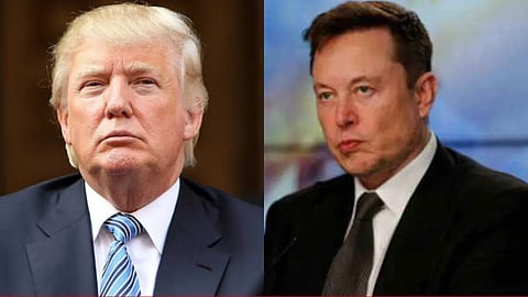 donald trump, elon musk