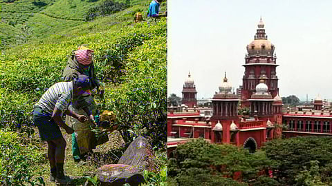 மாஞ்சோலை விவகாரம்