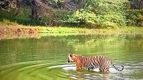 ராஜஸ்தான்