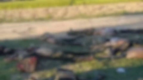 மணிப்பூரில் 11 குக்கி போராளிகள் சுட்டுக்கொலை