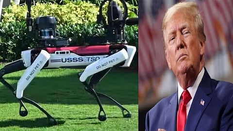 ரோபோ நாய், ட்ரம்ப்