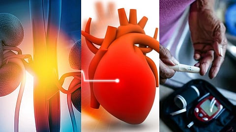 ஆய்வு முடிவுகள்