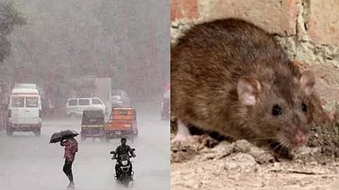 இன்றைய காலை தலைப்புச் செய்திகள்