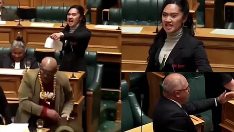 நியூசிலாந்து எம்பி