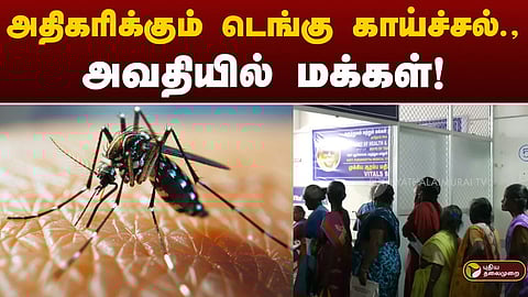 டெங்குவைப் பரப்பும் கொசு