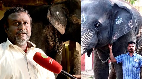 திருச்சி மலைக்கோட்டை யானை லட்சுமியின் பாகன் ரகுநாதன், திருச்செந்தூர் பாகன்