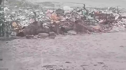 ராமேஸ்வரம் கனமழை