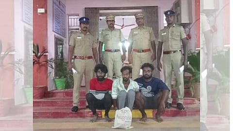 கஞ்சா விற்பனை செய்த 3 பேர் கைது