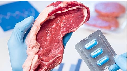 antibiotics in meat