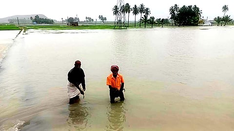 நீரில் மூழ்கிய பயிர்கள் சேதம்