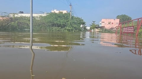 குடியிருப்புகளை சூழந்துள்ள மழைநீர்