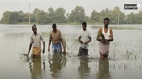 பாதிக்கப்பட்ட நிலம்