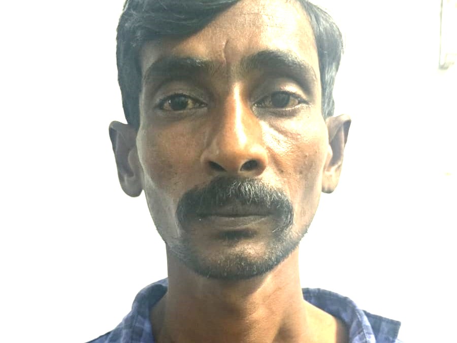 கஞ்சா செடி வளர்த்ததாக ஒருவர் கைது