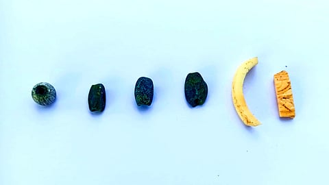 வெம்பக்கோட்டை 3-ம் கட்ட அகழாய்வு