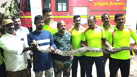 மலை பாம்பு – பத்திரமாக மீட்ட தீயணைப்புத் துறையினர்