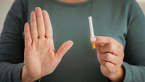 ஆய்வின் முடிவு