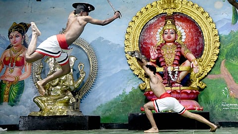 களரி ஃபைட்