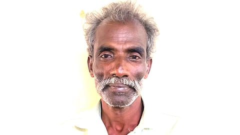 மச்சக்காளை