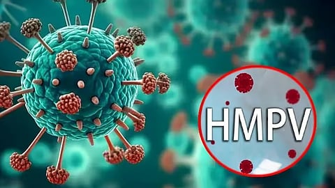 tamilnadu explains on hmpv virus causes