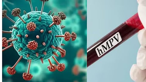 HMPV வைரஸ்
