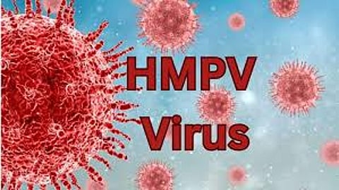 ஹெச்எம்பிவி வைரஸ்