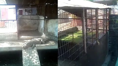 madhya pradesh former bjp mla it raid