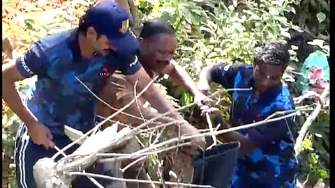 சபரிமலை சன்னிதானம் அருகே பிடிபட்ட "ராஜ நாகம்"