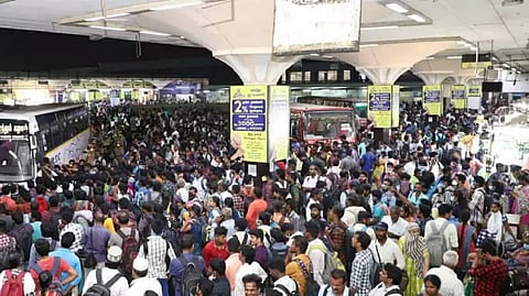 பொங்கல் பண்டிகை