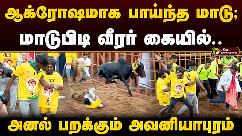 அவனியாபுரம் ஜல்லிக்கட்டு