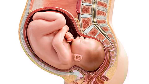 குழந்தைப் பிறப்பு விகிதம் அதிகரிப்பு