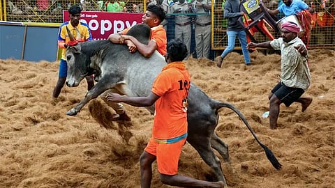 பாலமேடு