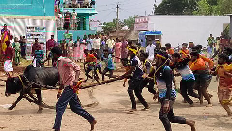 மஞ்சுவிரட்டு